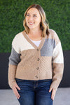 IN STOCK Colorblock Cozy Cardigan