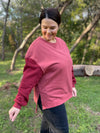 Scottie Two Tone Sweatshirt in Three Colors
